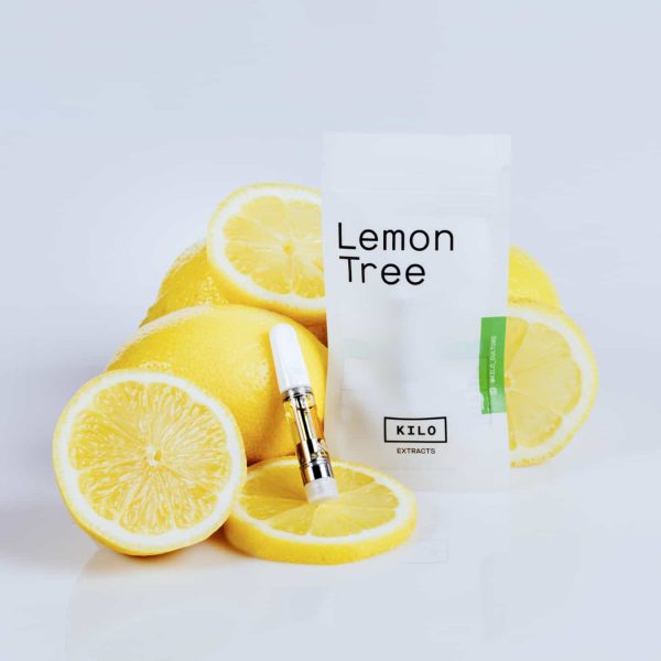 kilo extracts of lemon tree flavor